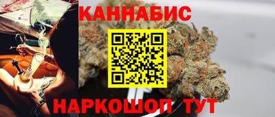 индика Будённовск
