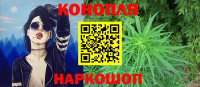индика Будённовск
