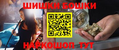 индика Будённовск