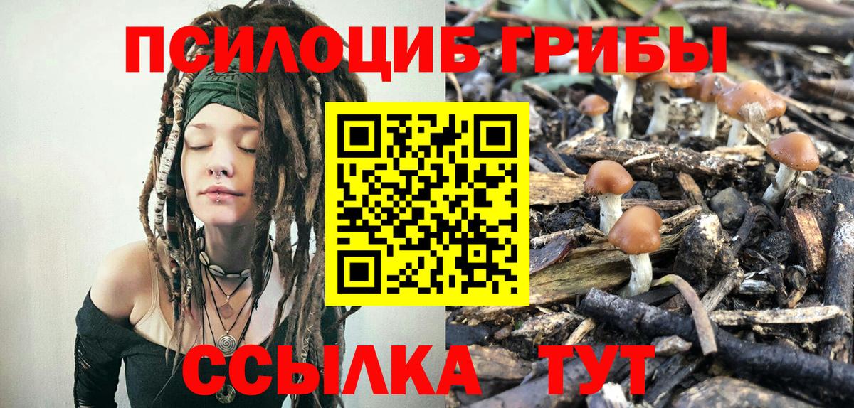 Азов  Псилоцибиновые грибы мицелий  Вход с VPN 